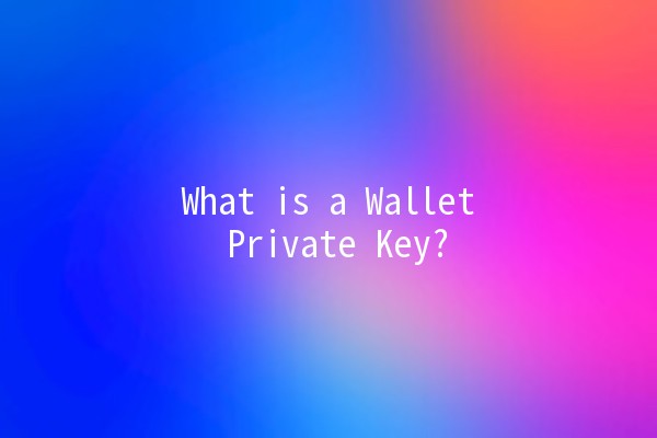 What is a Wallet Private Key? 🔑💰